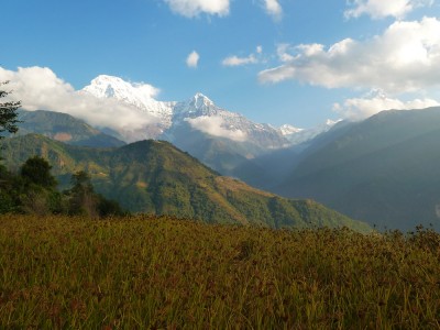 Annapurna Trek